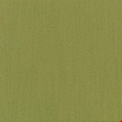 Shaw Color Accents: Brite Green 24