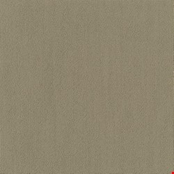 Shaw Color Accents: Sage 24