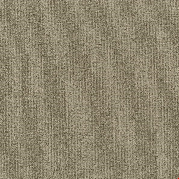 Shaw Color Accents: Sage 24" x 24" Carpet Tile 54462 62327