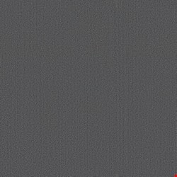 Shaw Color Accents: Slate 24