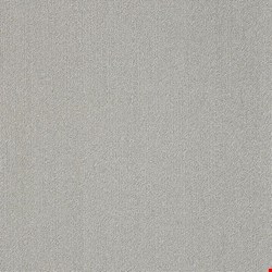 Shaw Color Accents: Silver 24