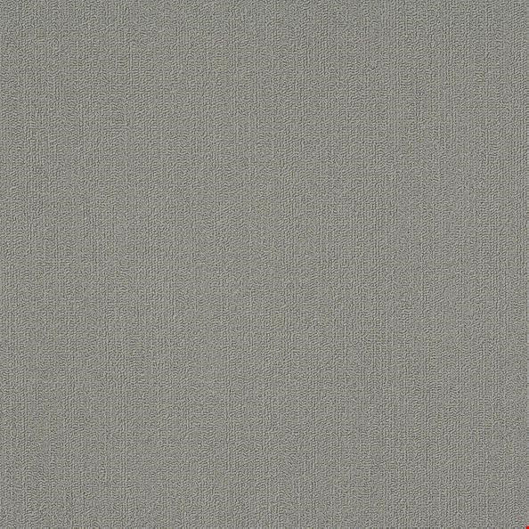 Shaw Color Accents: Med Gray 24" x 24" Carpet Tile 54462 62555
