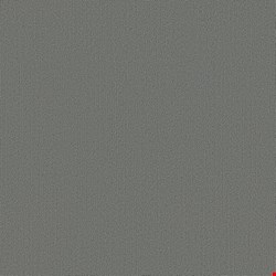 Shaw Color Accents: Flannel 24