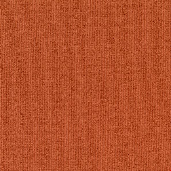 Shaw Color Accents: Paprika 24" x 24" Carpet Tile 54462 62668