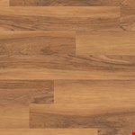 Lancewood SCB44
