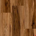 Spicebark Hickory Comino PGSH87L7