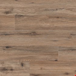 MS International Cyrus XL: Fauna 9