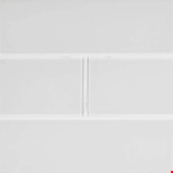 MS International Ice 4