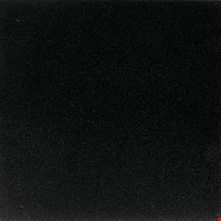 Daltile Granite: Absolute Black Honed 12