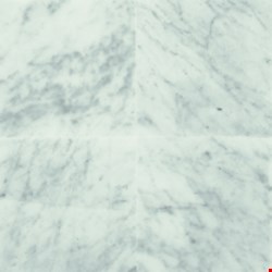 Daltile Marble: Carrara White Polished 12