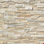 Golden Honey LPNLQGLDHON624