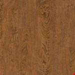 Northwoods Oak VV023-00205