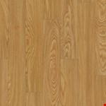 Rocky Mountain Oak VV023-00207