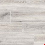 Platinum NANTPLA6X36