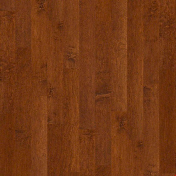 Shaw Epic Plus Coral Springs: Burnside 3/8" x 5" Engineered Maple Hardwood SW591 627