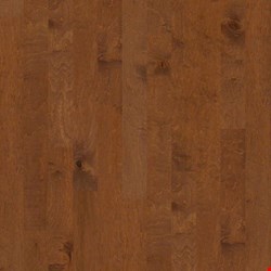 Shaw Epic Plus Ocala: Surfside 3/8