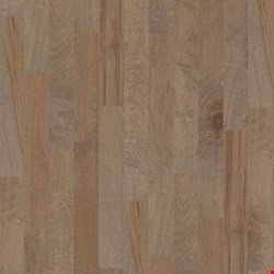 Shaw Epic Plus Ocala: Oceanside 3/8