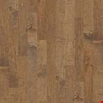 Buckskin 5" SW547 2005