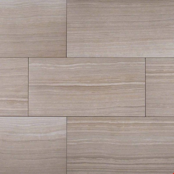 MS International Eramosa: Silver 12" x 24" Porcelain Tile NERASIL1224