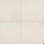 24" 24" Porcelain Tile NLIVSTYCRE2424