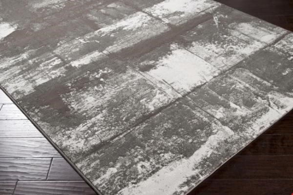 Surya Contempo Black Olive (CPO-3700) Rectangle 2'0" x 3'0"