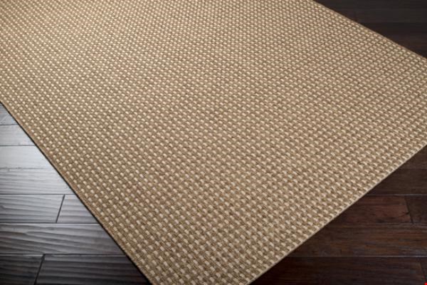 Surya Elements Brown Sugar (ELT-1000) Rectangle 3'11" x 5'7"
