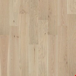 Shaw Citadel: Countess 1/2