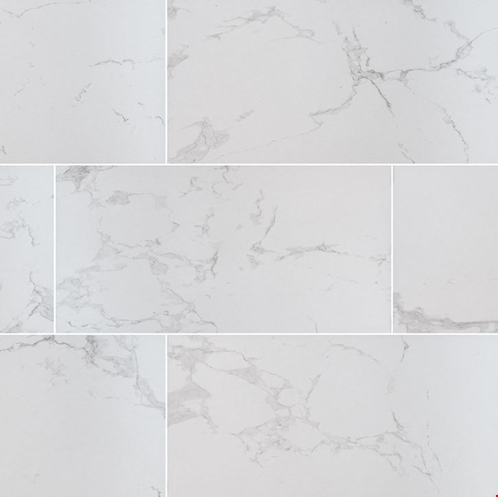 MS International Praia: Carrara 12" x 24" Polished Porcelain Tile NPRACAR1224P