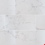 Carrara 24" 48" Polished Tile NPRACAR2448P