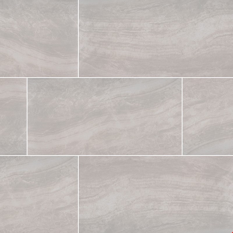 MS International Praia: Grey 12" x 24" Polished Porcelain Tile NPRAGRE1224P