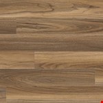 Tawny Birch VTGTAWBIR6X48-2MM-12MIL