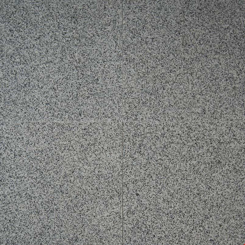 MS International Granite: Bianco Catalina 12" x 12" Granite Tile TBIACTLN1212