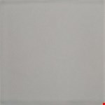 Silver Lining NU02441P