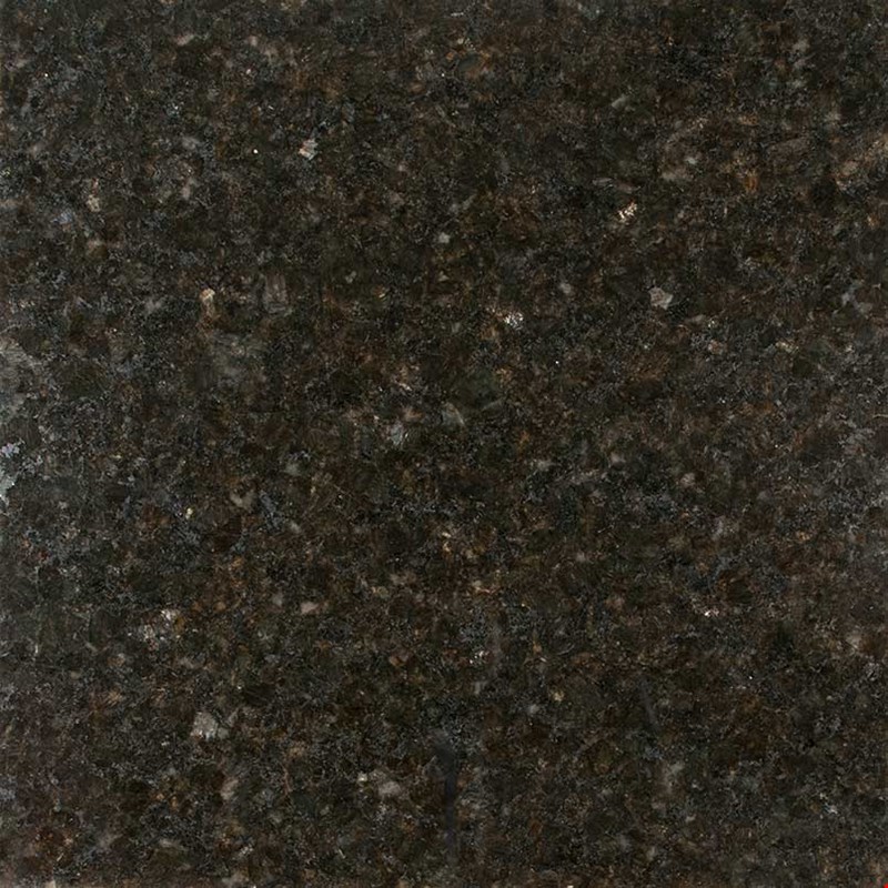 MS International Granite: Ubatuba 12" x 12" Granite Tile TUBATUBA1212