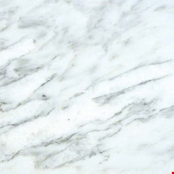 MS International Marble: Arabescato Carrara 12