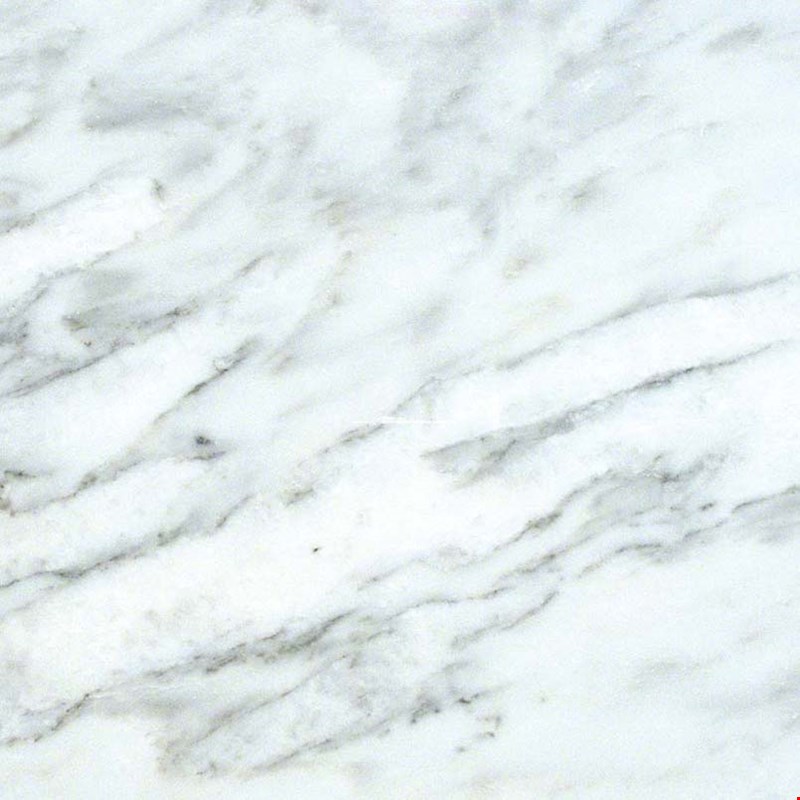 MS International Marble: Arabescato Carrara 12" x 12" Honed Marble Tile TARACAR1212H