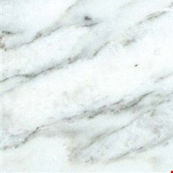 MS International Marble: Arabescato Carrara 18