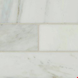 MS International Marble: Arabescato Carrara 4