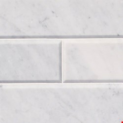 MS International Marble: Arabescato Carrara 4