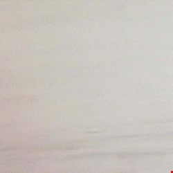 MS International Marble: Bianco Dolomite 12