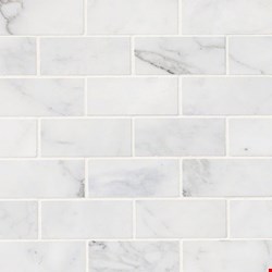 MS International Marble: Calacatta Cressa 2