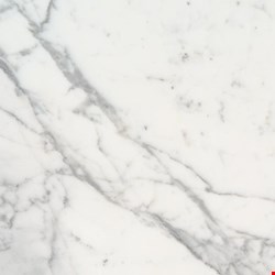 MS International Marble: Calacatta Gold 12