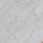 Carrara White 12" 24" Honed TCARRWHT1224H