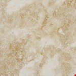 Crema Cappuccino 12" 12" TTCAPU1212P