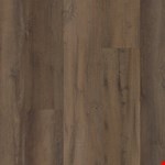 Plus Premium: Pride Oak VV457-02907