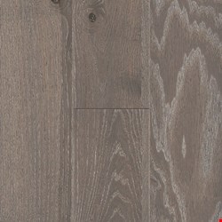 Bruce Standing Timbers: Coastal Edge 1/2