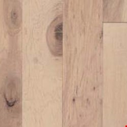 Bruce Early Canterbury: Moonlight 3/8