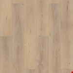 Enhanced HD: Ravenswood VV488-02091A