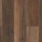 Cheshire Elm VV488-02094