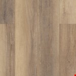 Bastion Elm VV488-02095